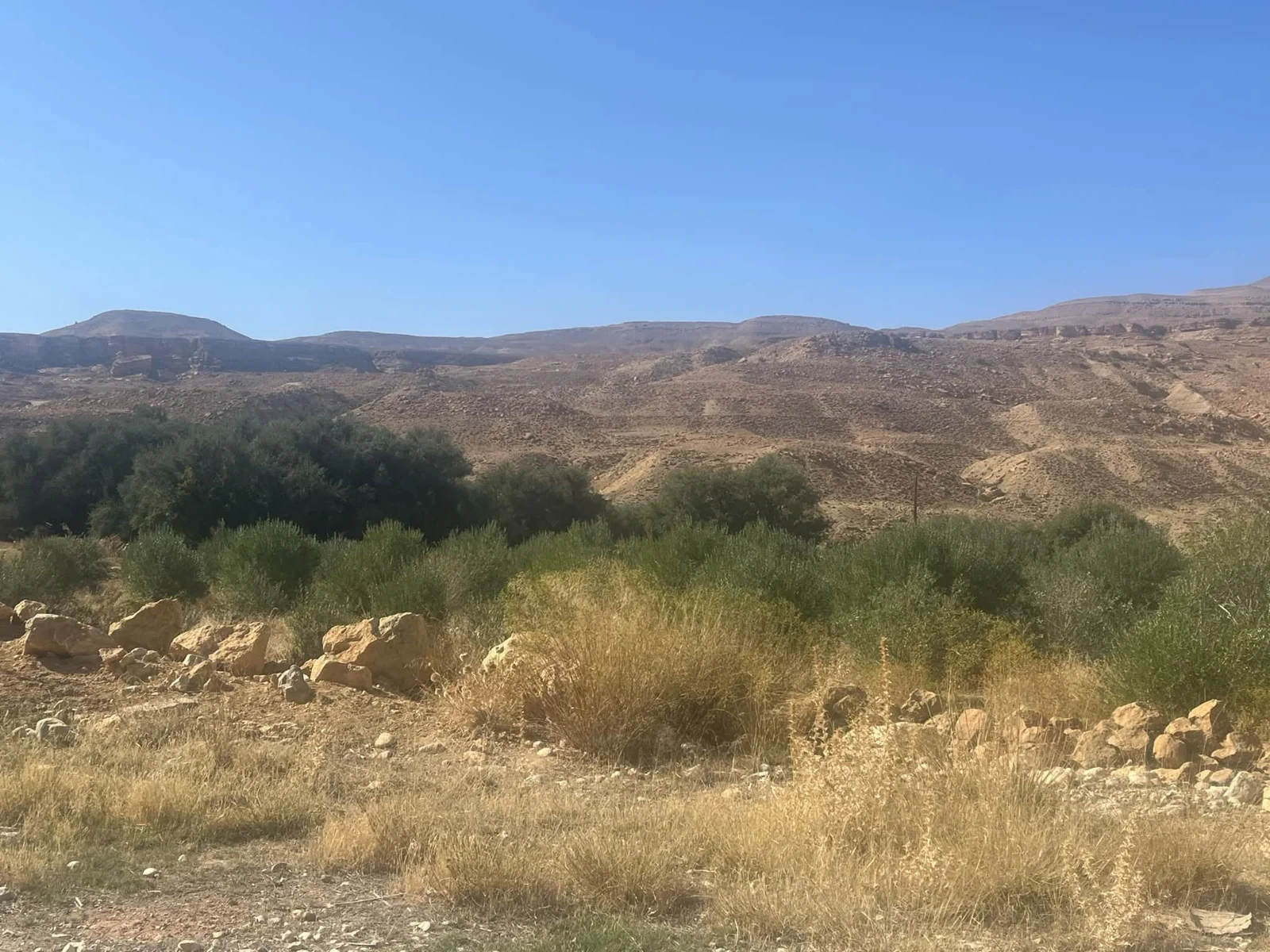 رحلة الإعلاميين إلى المسارات التاريخية بخنشلة في سبعينية الثورة
