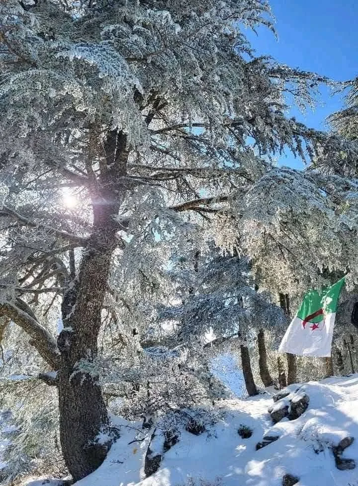 Cumbres de Gherer entre Tizi Ouzou y Bouira bajo la nieve