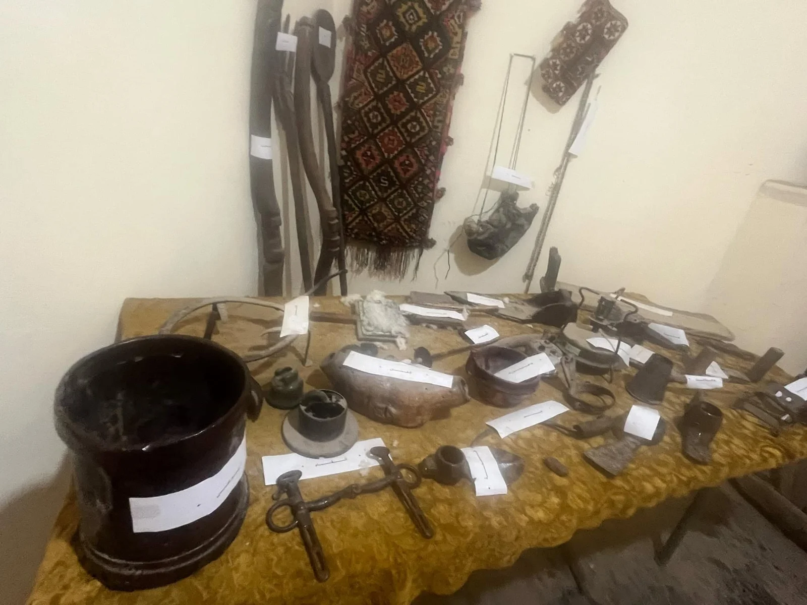 رحلة الإعلاميين إلى المسارات التاريخية بباتنة في سبعينية الثورة