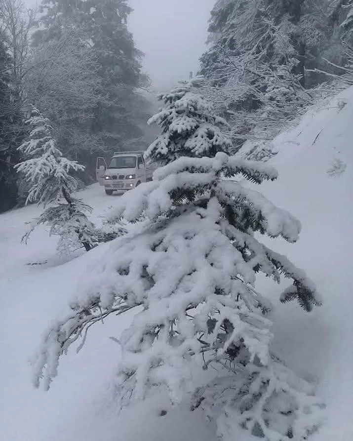 صور تساقط الثلوج على جبال البابور بسطيف