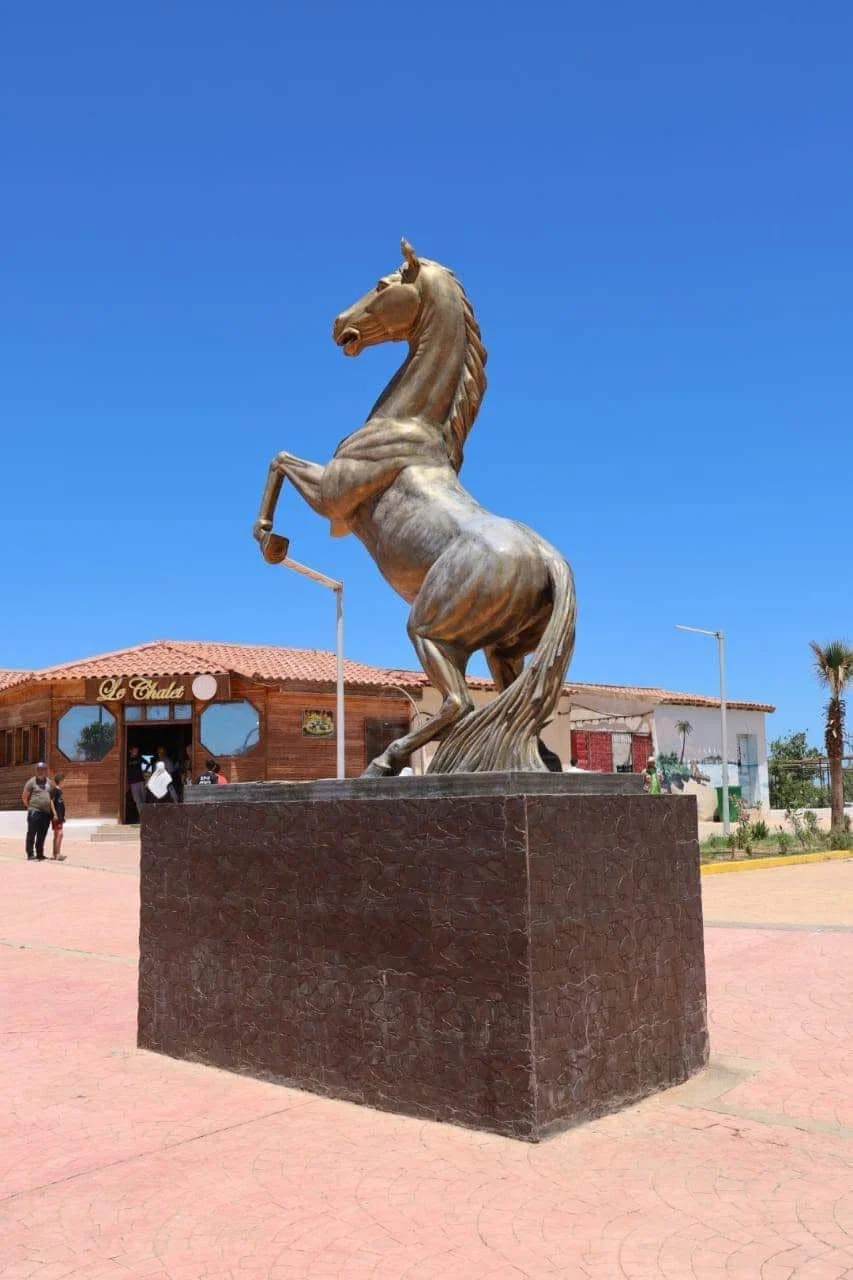 Official launch of the 2024 summer holiday season in Mostaganem