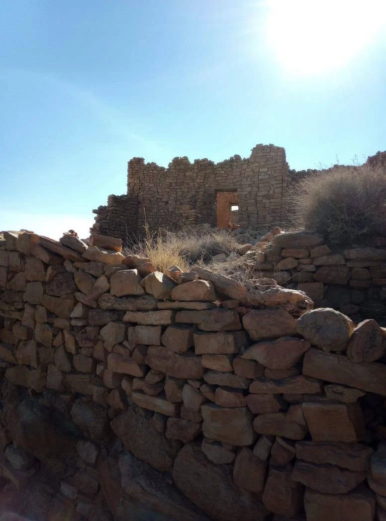 Actividades del Consejo en ocasión del Día Mundial del Turismo 2025