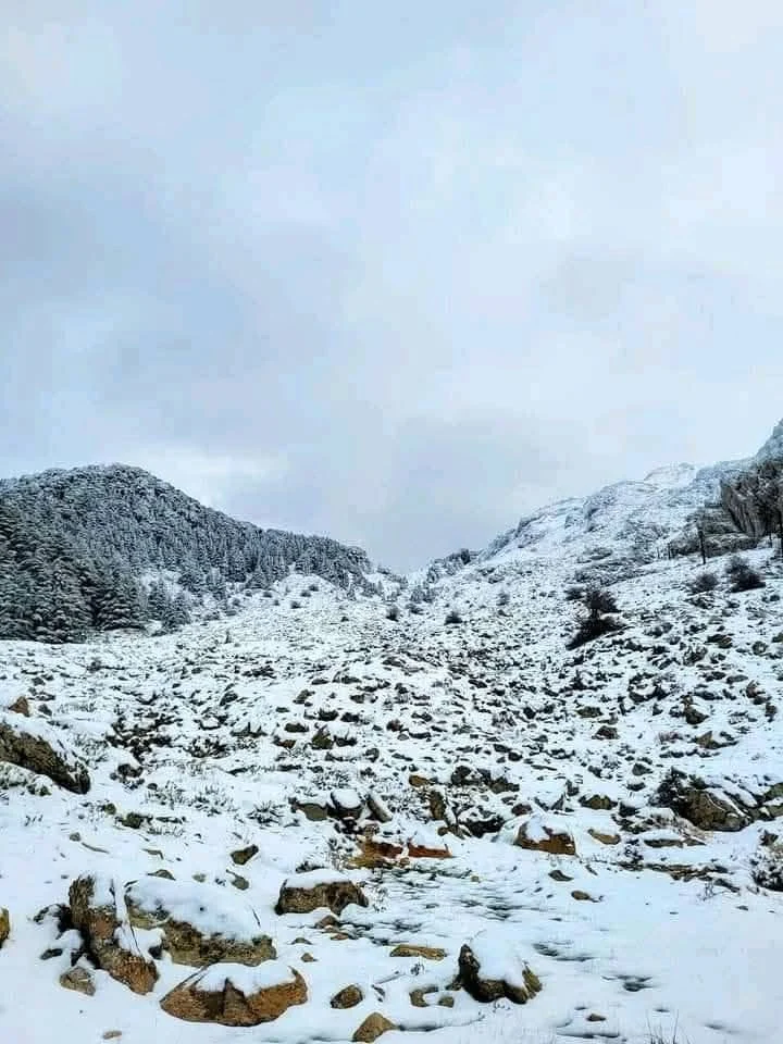 Cumbres de Gherer entre Tizi Ouzou y Bouira bajo la nieve