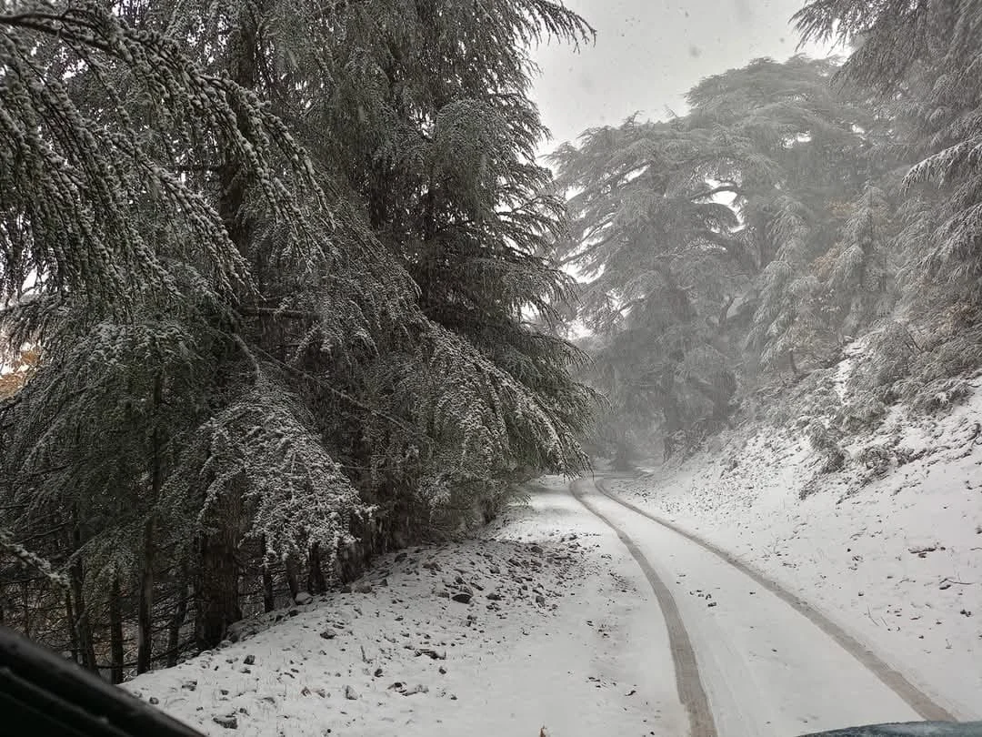 صور تساقط الثلوج على جبال البابور بسطيف