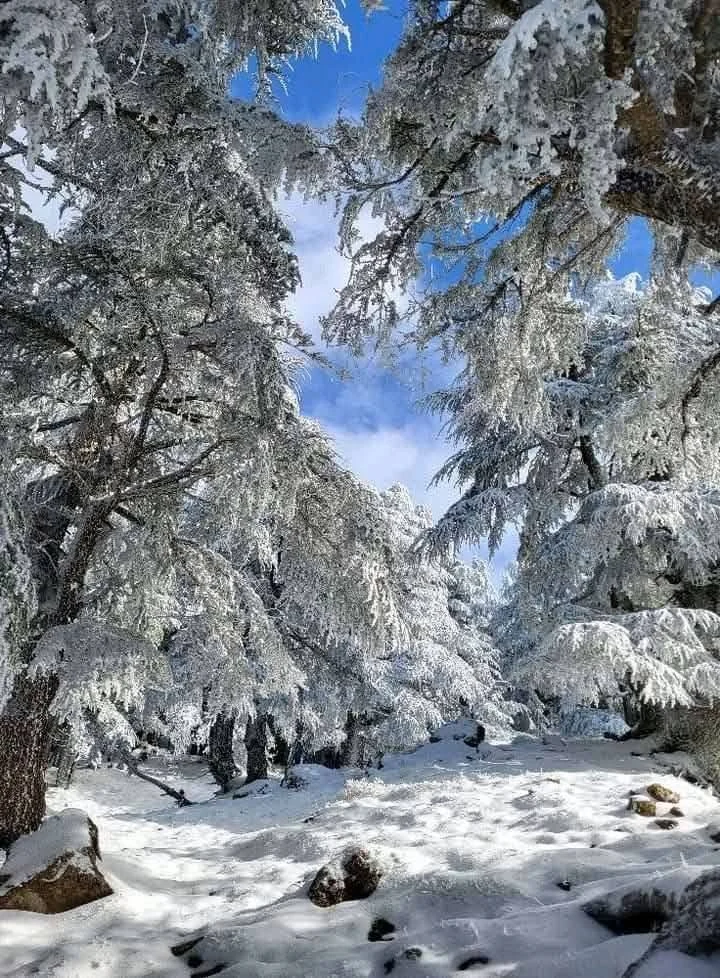 Cumbres de Gherer entre Tizi Ouzou y Bouira bajo la nieve