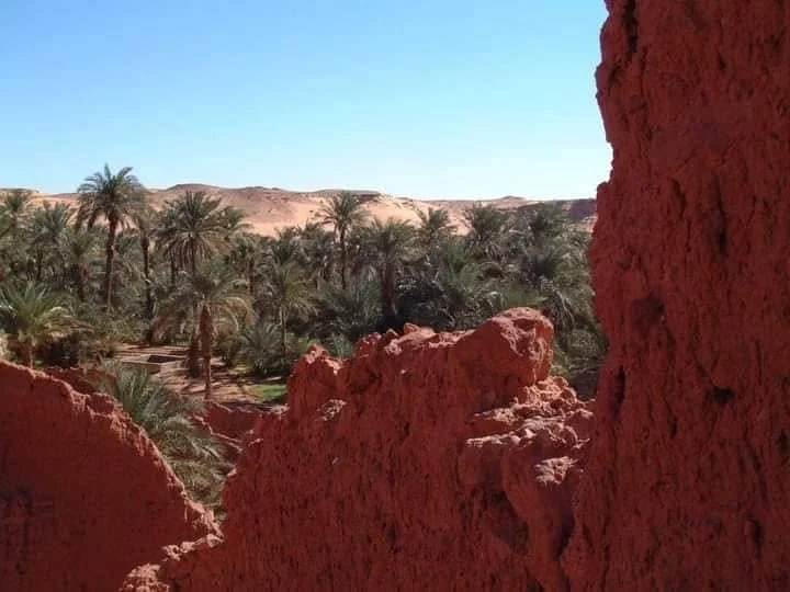 Media trip to promote the Sebou of Timimoun and domestic tourism