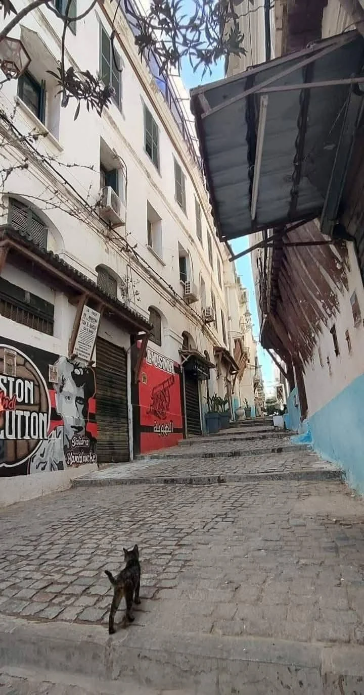 Beauté et splendeur de l'architecture dans la Casbah d’Alger