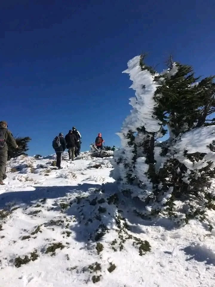 Cumbres de Gherer entre Tizi Ouzou y Bouira bajo la nieve