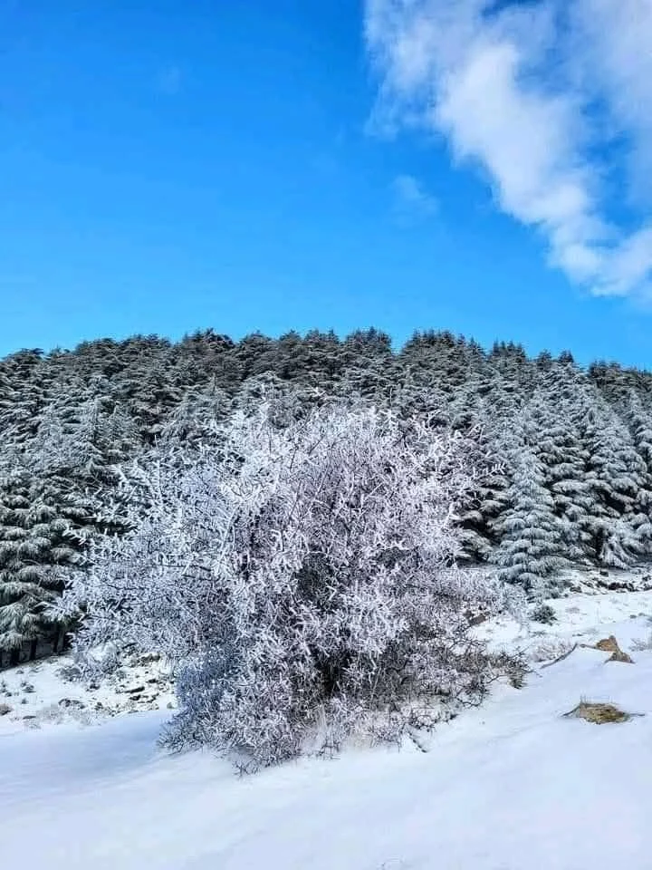 Cumbres de Gherer entre Tizi Ouzou y Bouira bajo la nieve