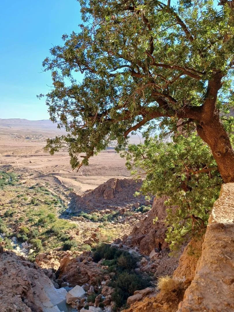 Actividades del Consejo en ocasión del Día Mundial del Turismo 2025