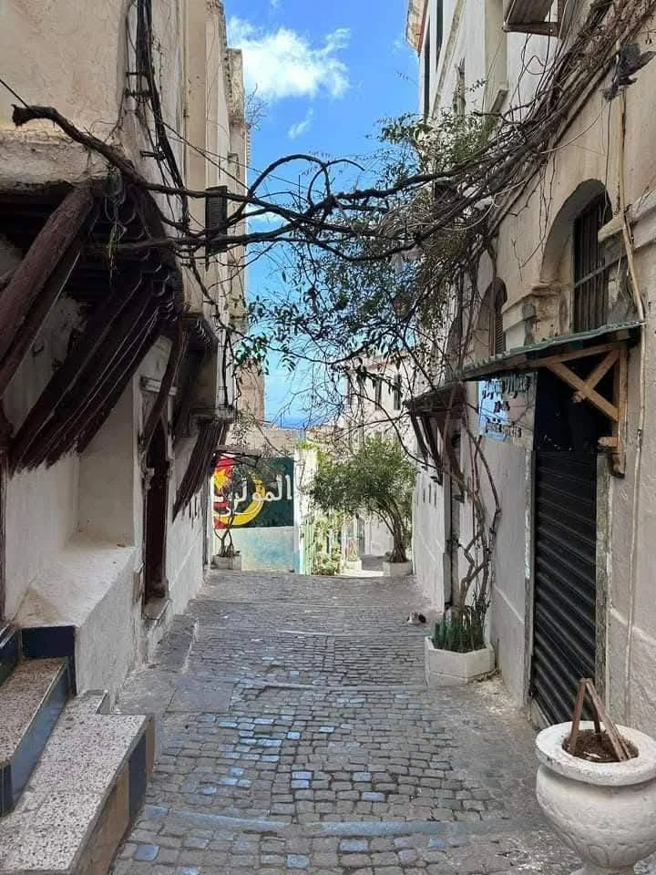 Beauté et splendeur de l'architecture dans la Casbah d’Alger