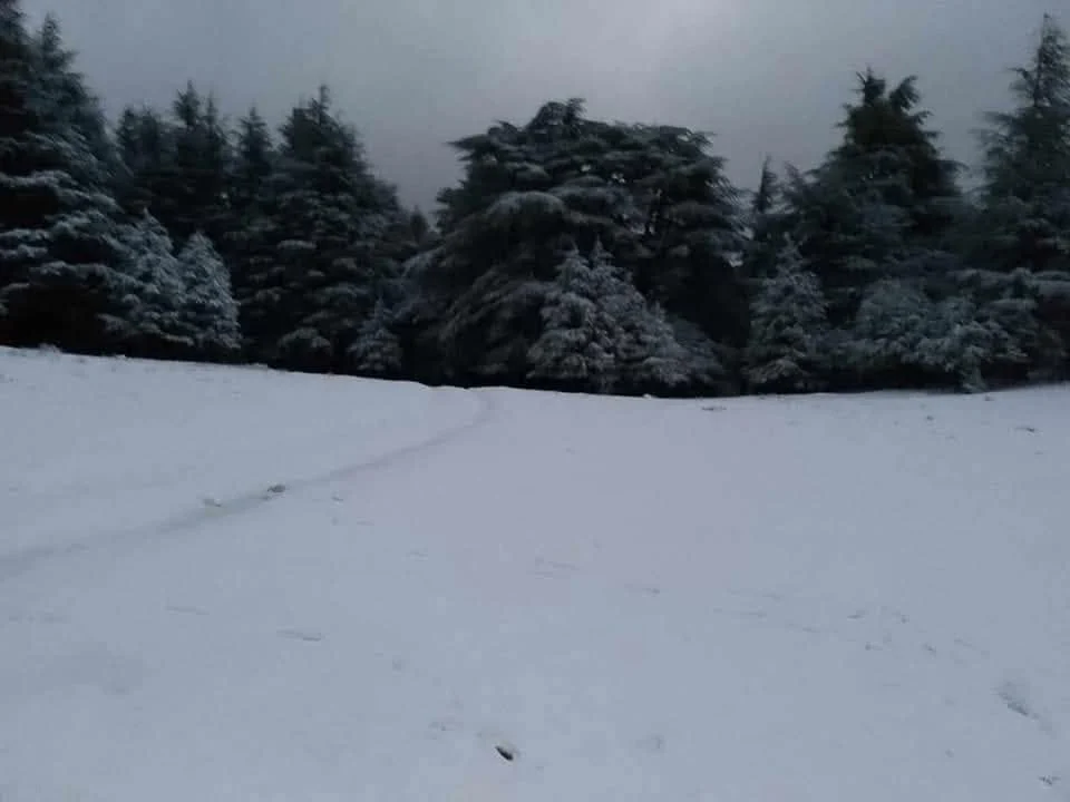 صور تساقط الثلوج على جبال البابور بسطيف
