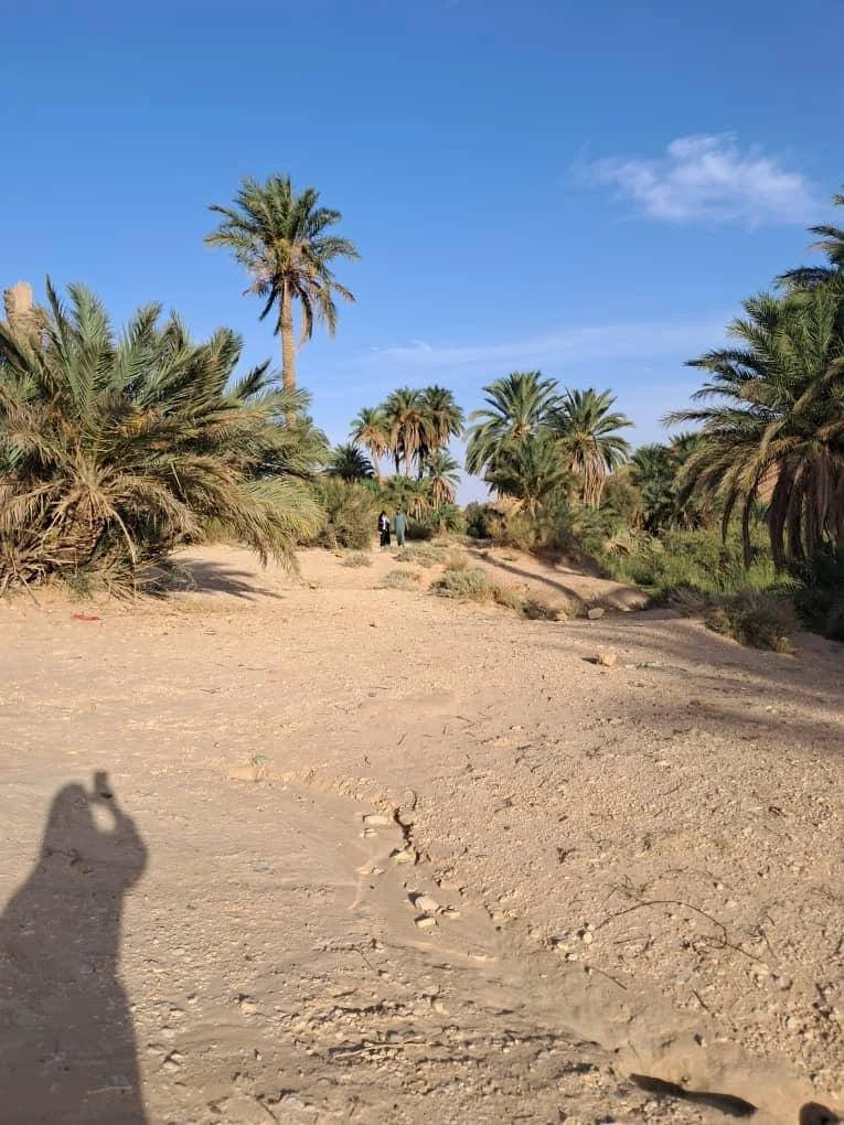 Célébrer la Journée mondiale du tourisme sous le thème « Le tourisme et la transformation durable »