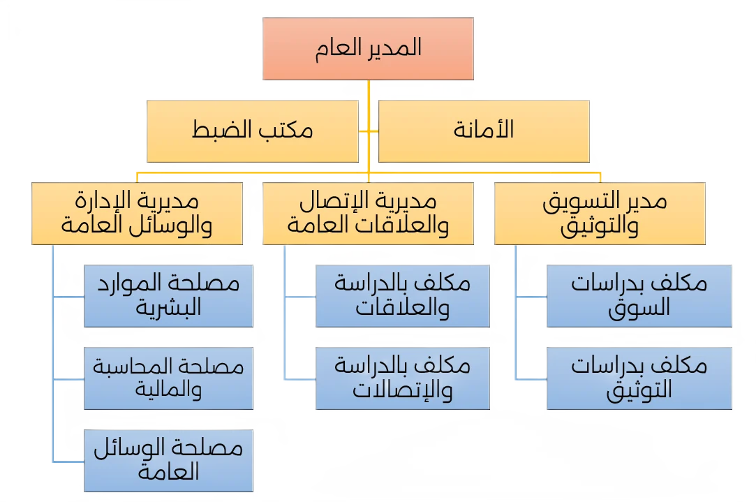 الهيكل التنظيمي للديوان الوطني للسياحة